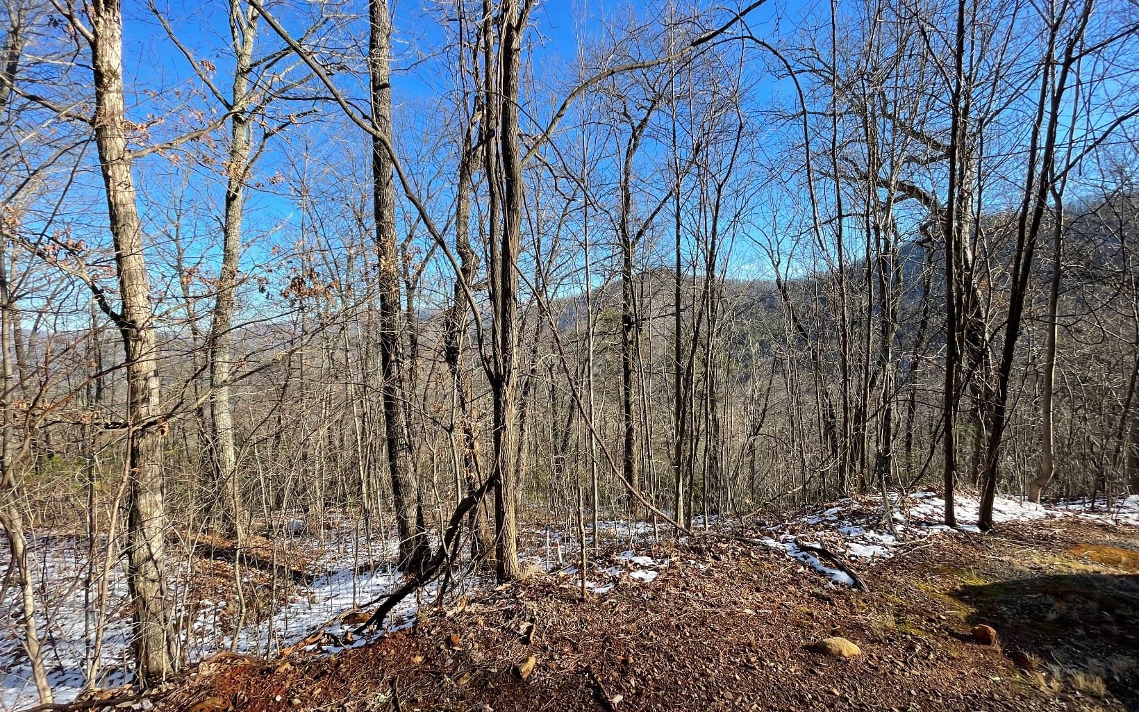 Lot 34 Overlook At Yh, Young Harris GA 30582 - Photo