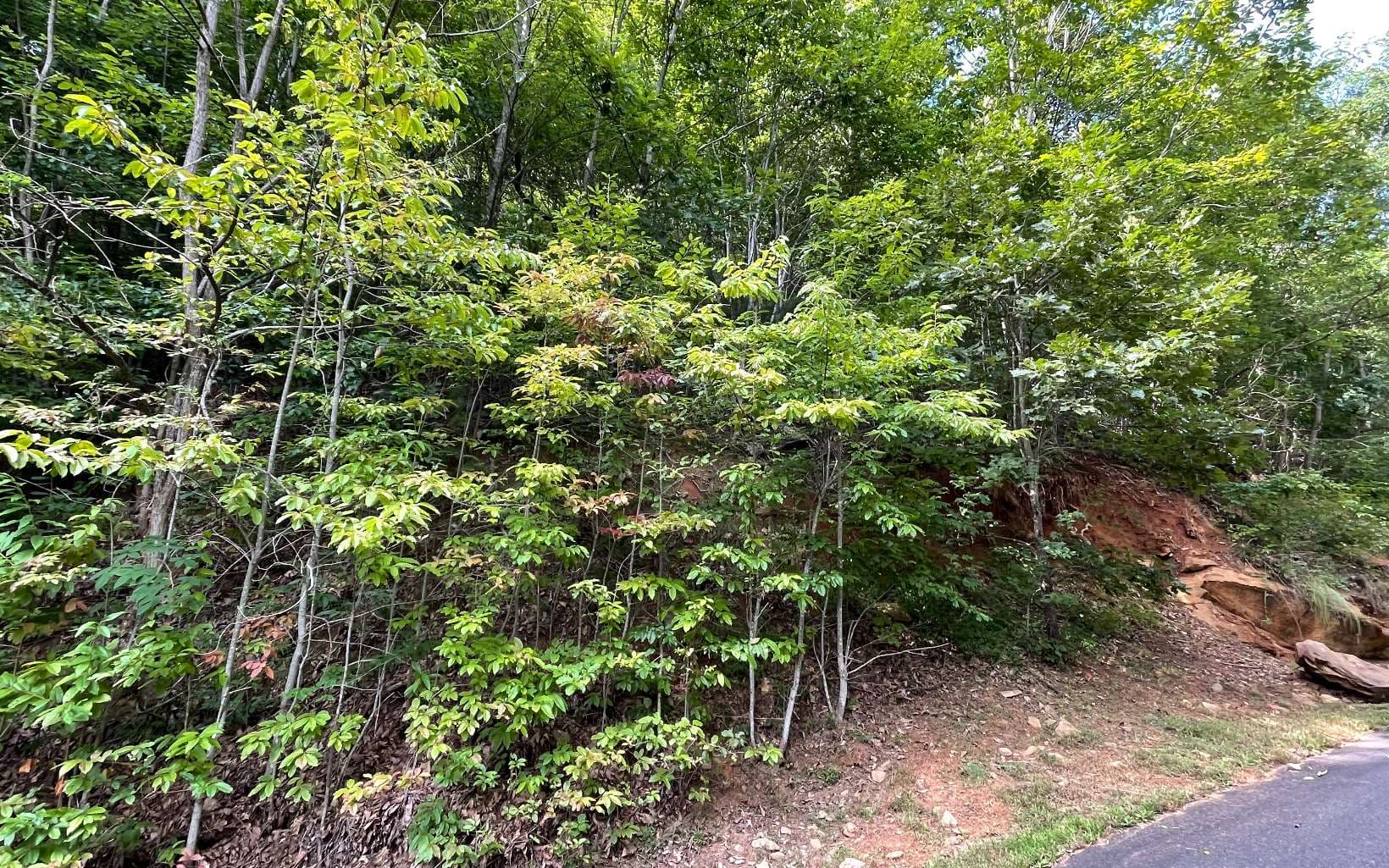 Lot 34 Overlook At Yh, Young Harris GA 30582 - Photo