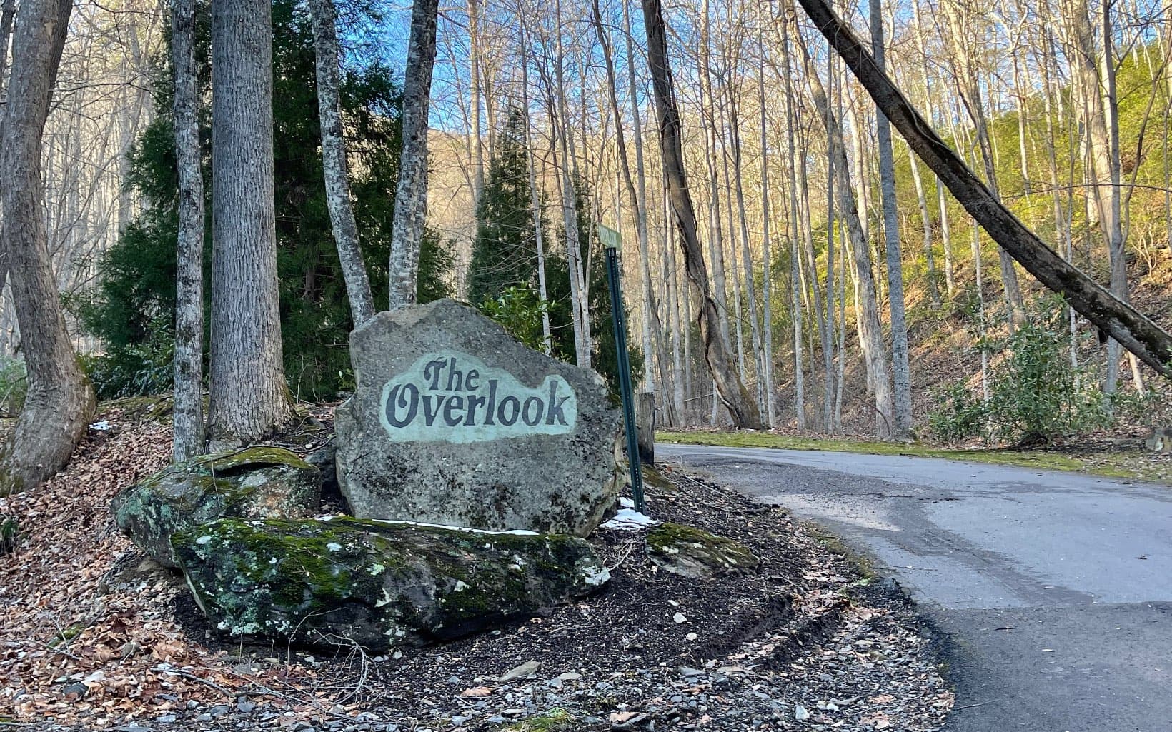 Lot 34 Overlook At Yh, Young Harris GA 30582 - Photo