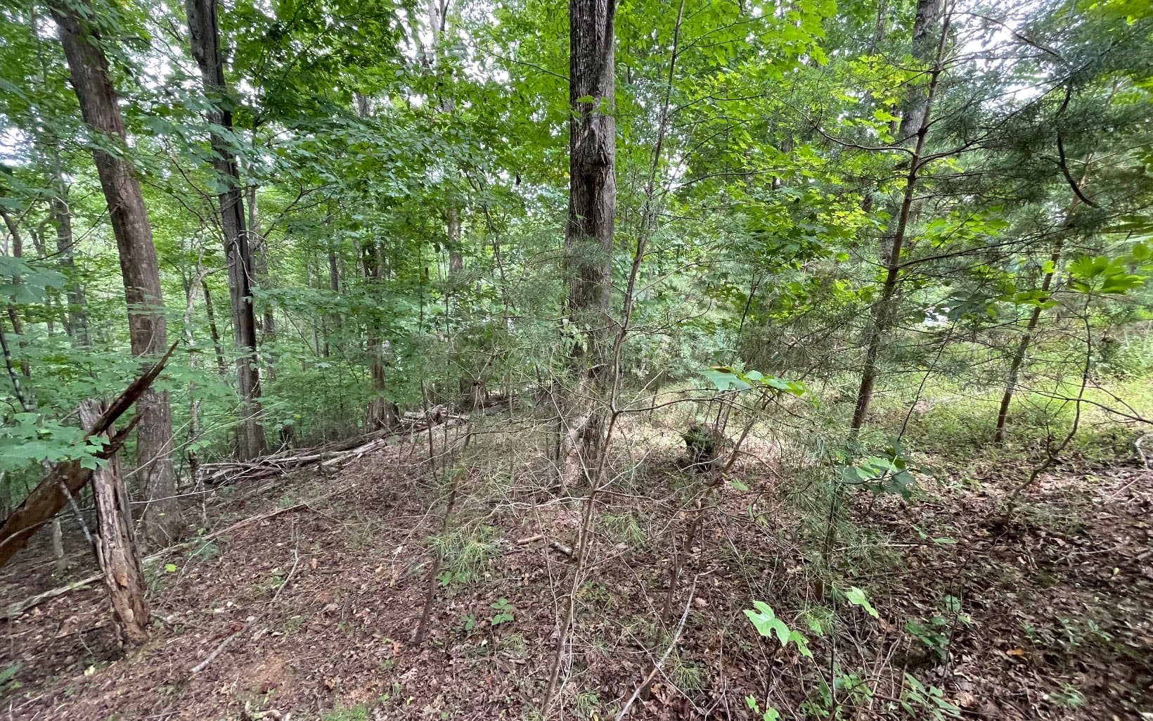 Lot 3 Morgan Creek, Ph Ii, Young Harris GA 30582 - Photo