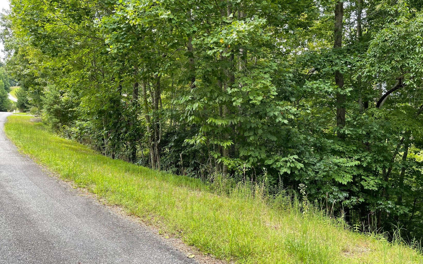 Lot 3 Morgan Creek, Ph Ii, Young Harris GA 30582 - Photo
