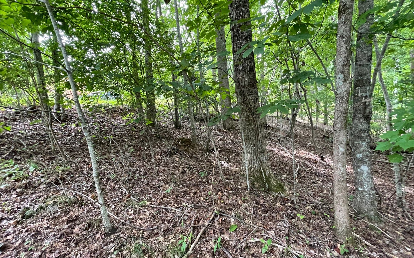 Lot 3 Morgan Creek, Ph Ii, Young Harris GA 30582 - Primary photo