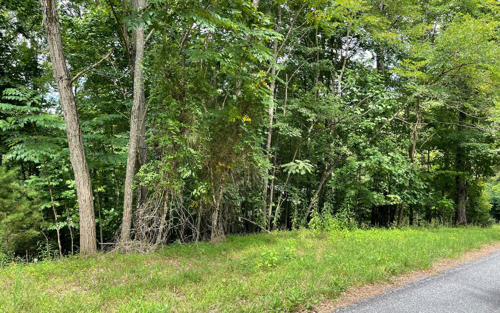 Lot 3 Morgan Creek, Ph Ii, Young Harris GA 30582 - Photo