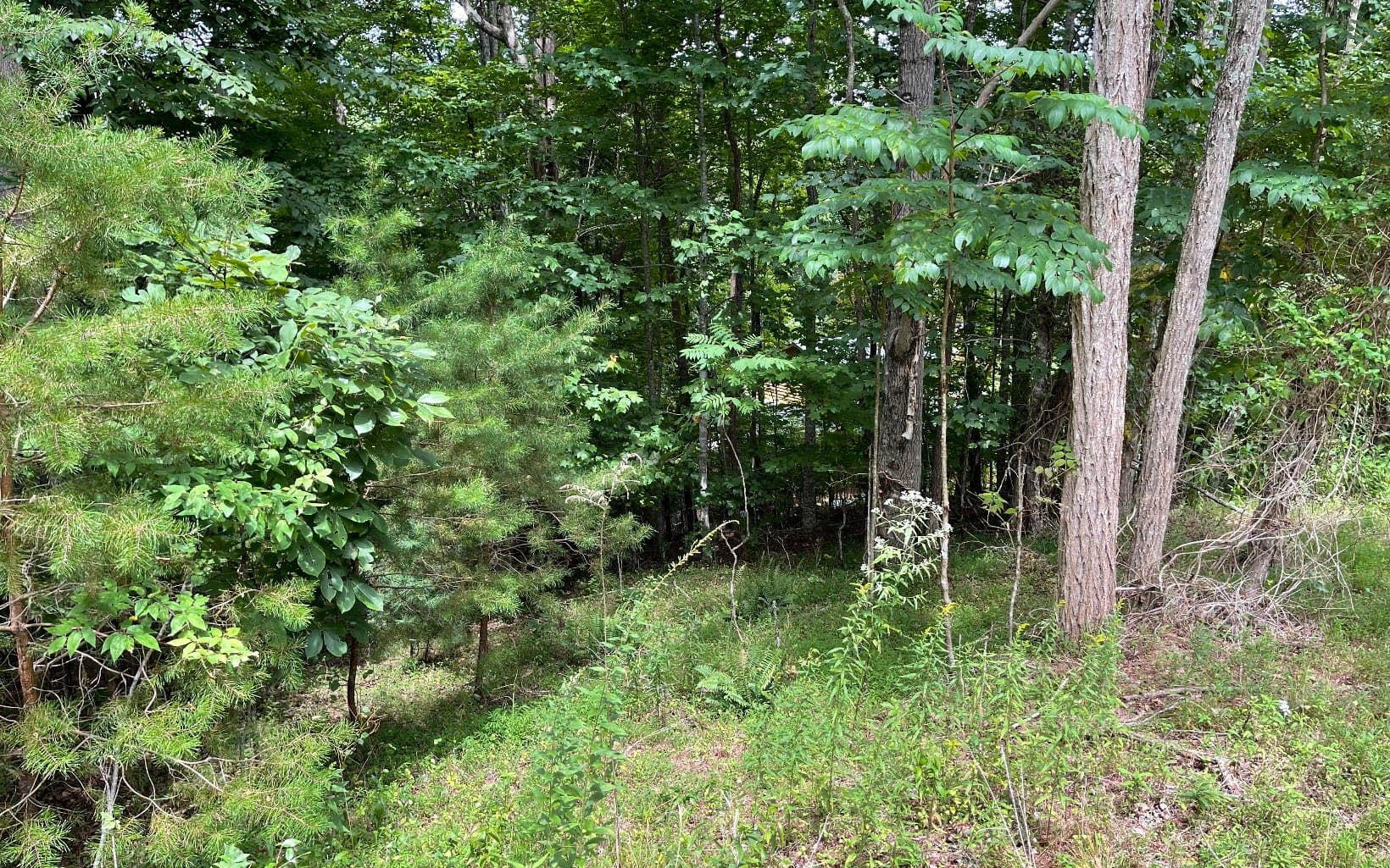 Lot 3 Morgan Creek, Ph Ii, Young Harris GA 30582 - Photo