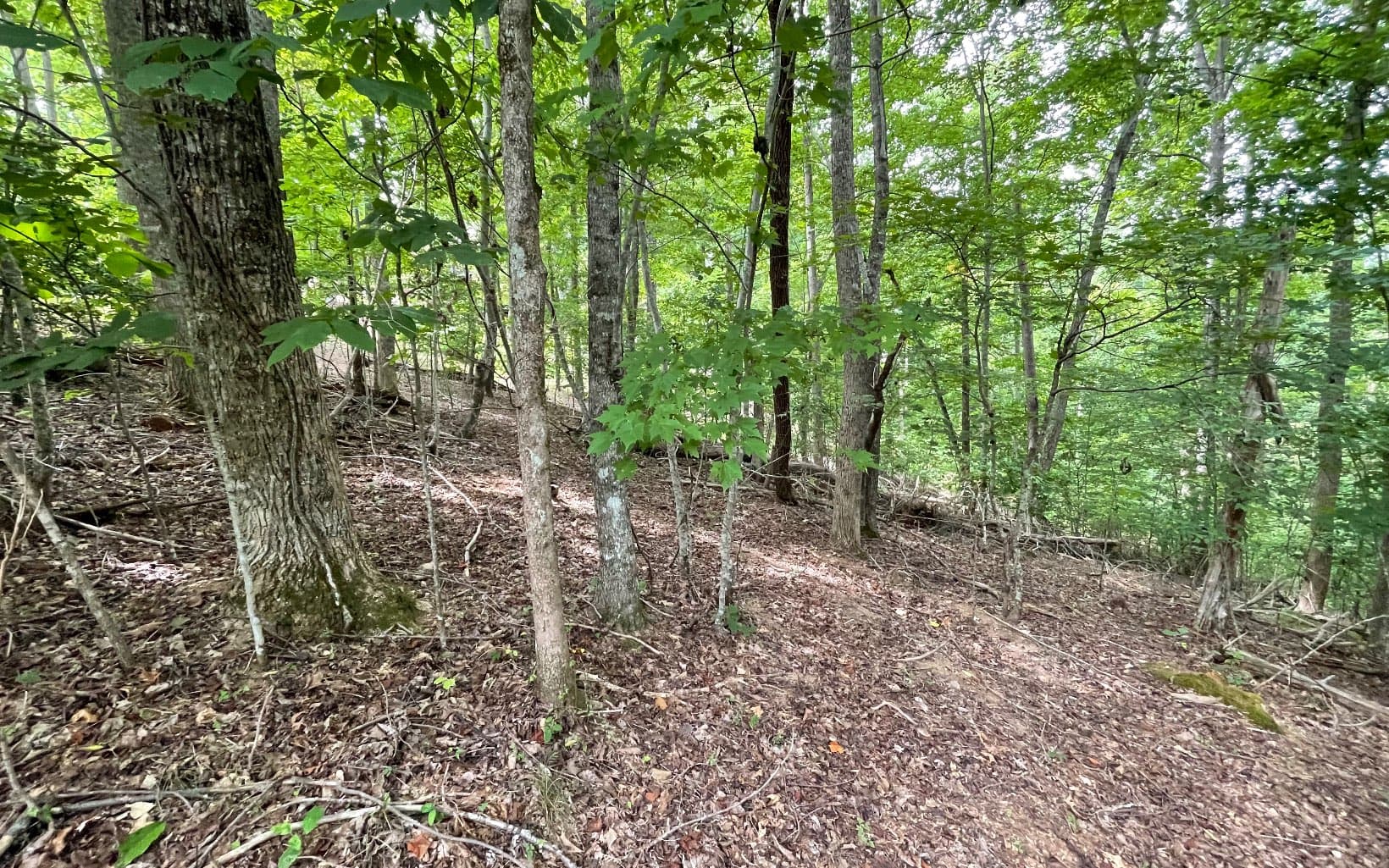 Lot 3 Morgan Creek, Ph Ii, Young Harris GA 30582 - Photo