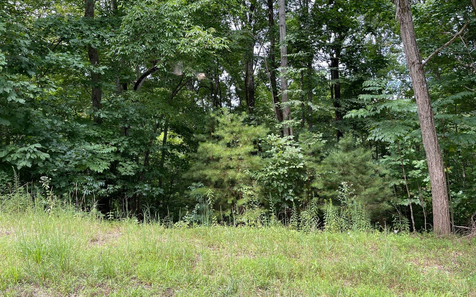 Lot 3 Morgan Creek, Ph Ii, Young Harris GA 30582 - Photo