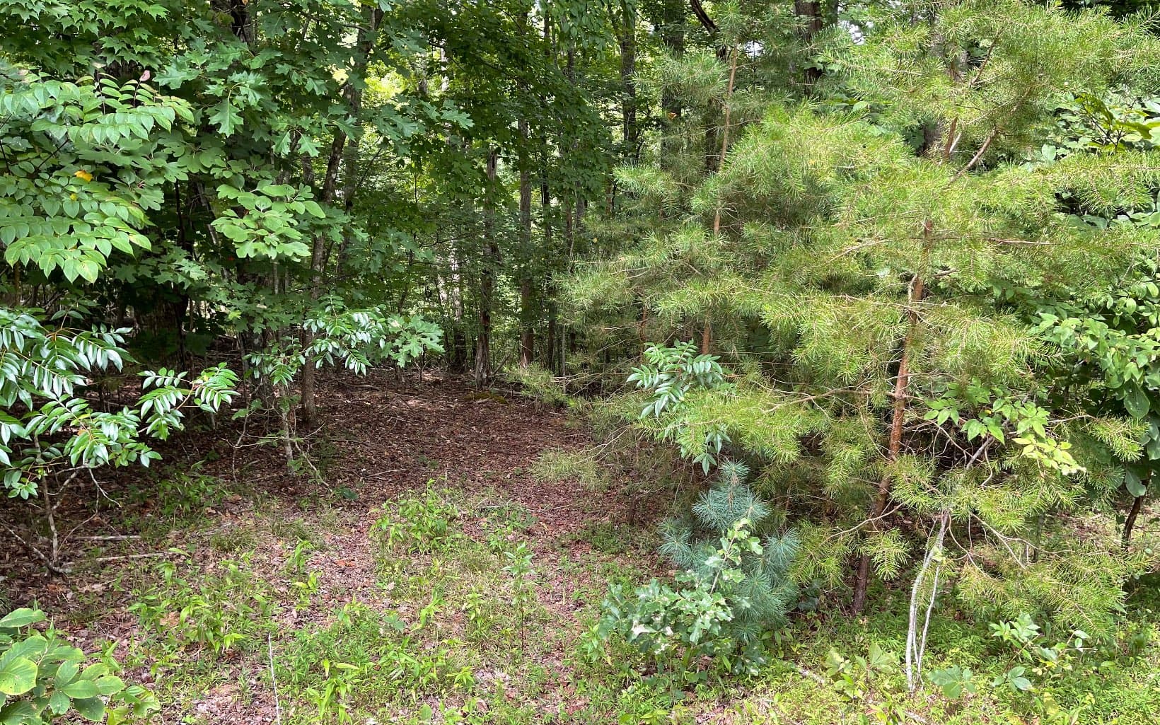 Lot 3 Morgan Creek, Ph Ii, Young Harris GA 30582 - Photo