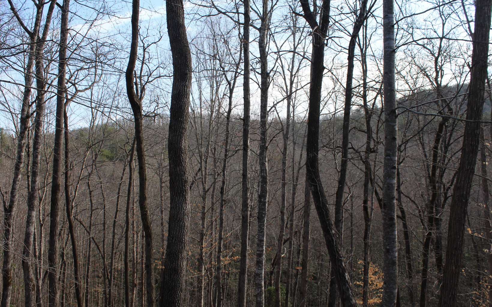7 Fodder Creek Mill Road, Hiawassee GA 30546 - Photo