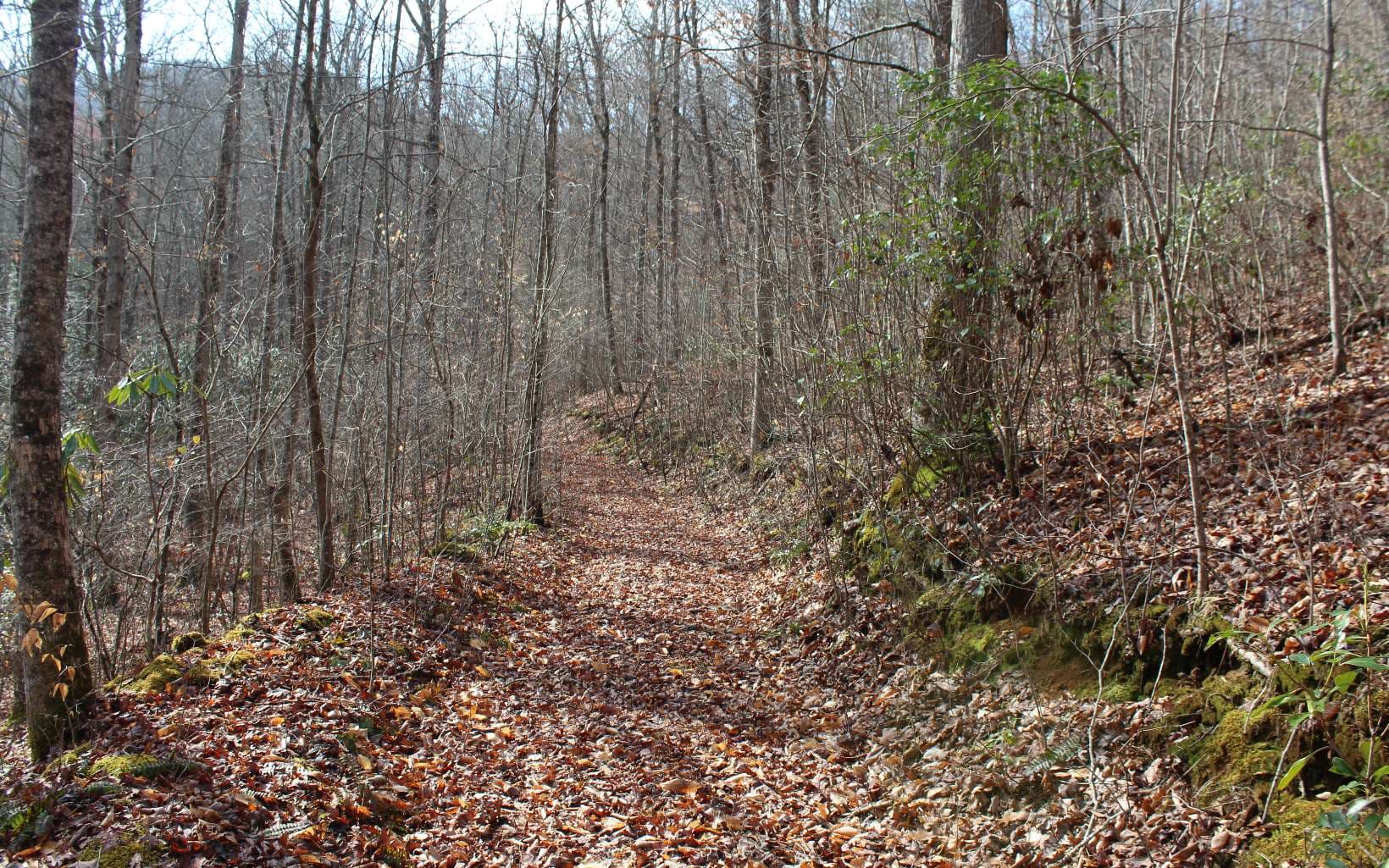 7 Fodder Creek Mill Road, Hiawassee GA 30546 - Photo