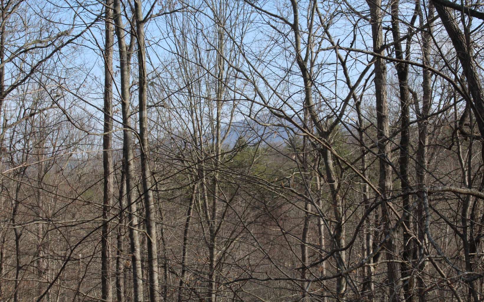 7 Fodder Creek Mill Road, Hiawassee GA 30546 - Photo