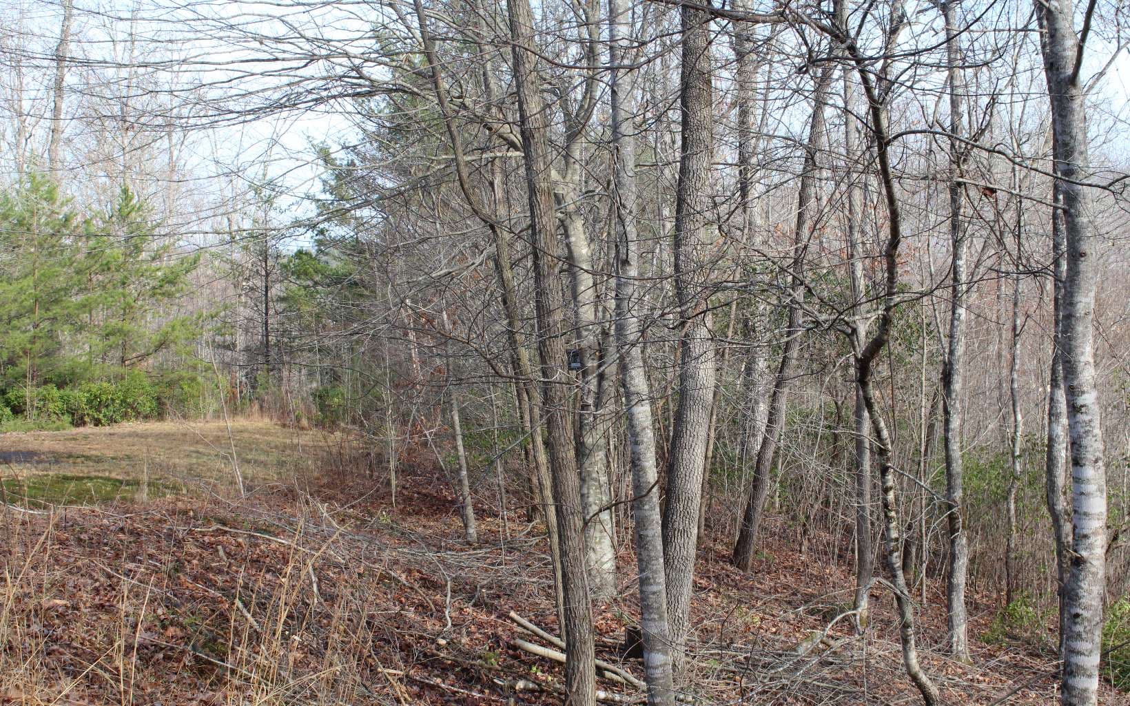 7 Fodder Creek Mill Road, Hiawassee GA 30546 - Photo