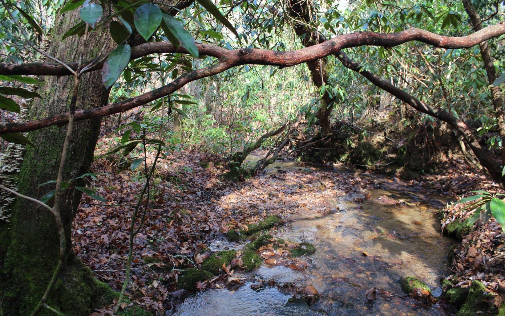 7 Fodder Creek Mill Road, Hiawassee GA 30546 - Photo