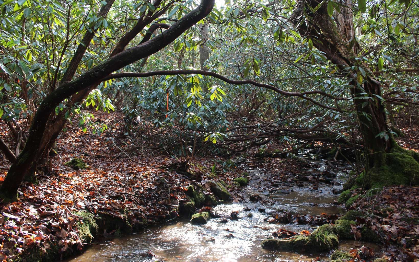7 Fodder Creek Mill Road, Hiawassee GA 30546 - Photo