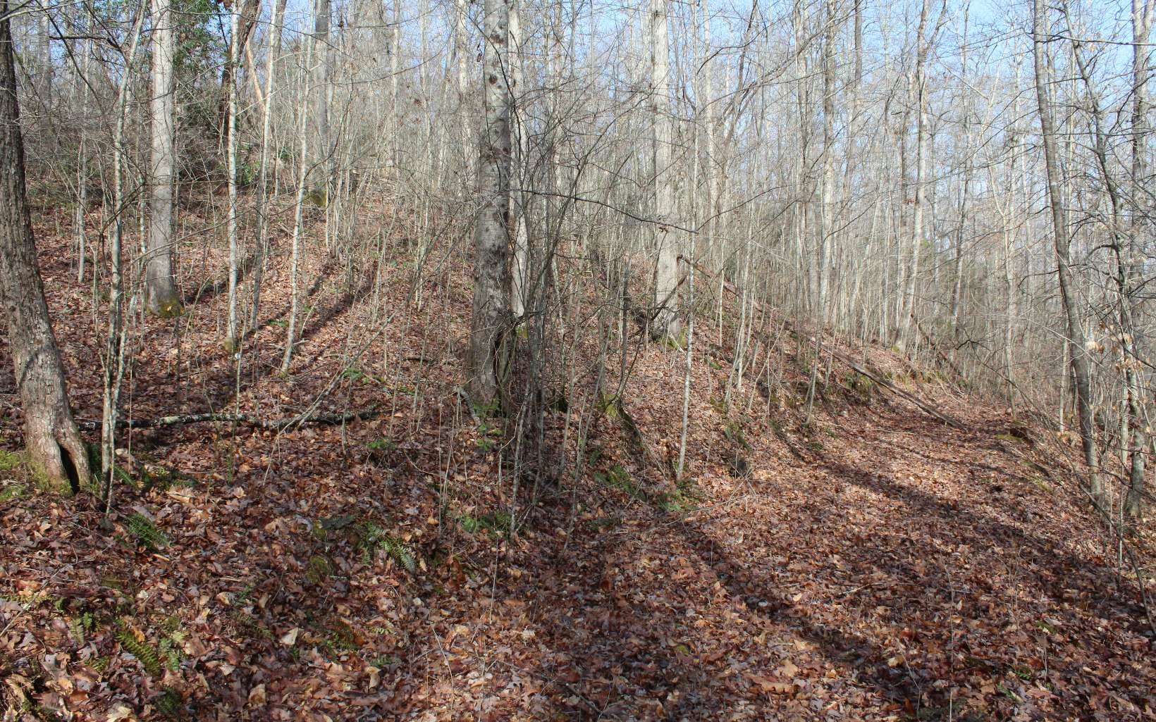 7 Fodder Creek Mill Road, Hiawassee GA 30546 - Photo