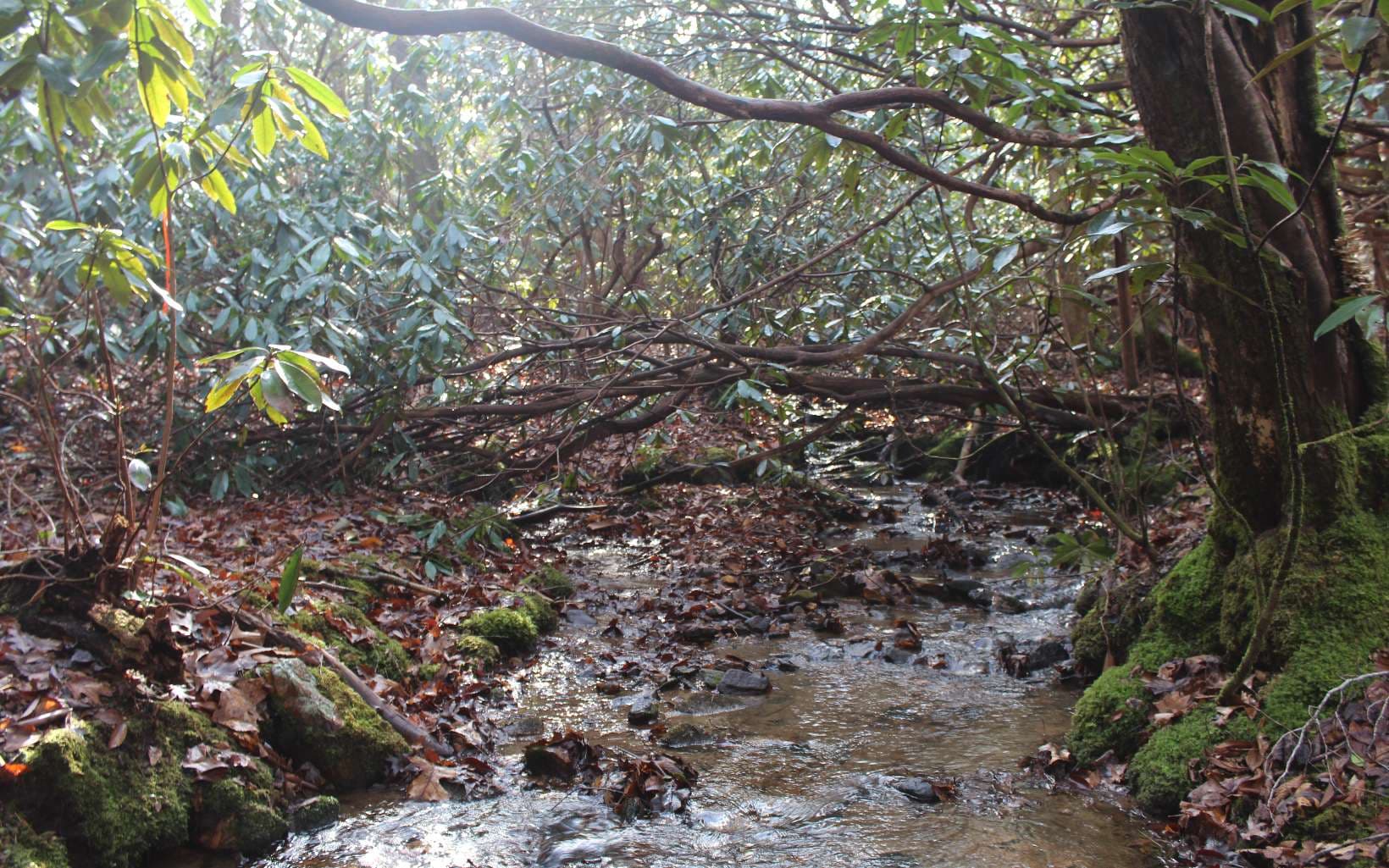 7 Fodder Creek Mill Road, Hiawassee GA 30546 - Photo