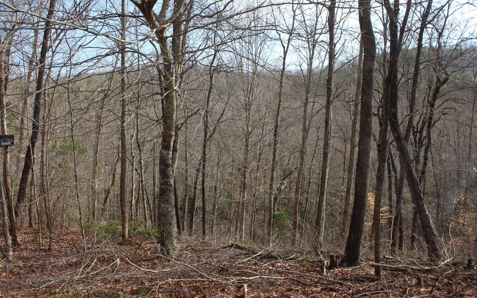7 Fodder Creek Mill Road, Hiawassee GA 30546 - Photo
