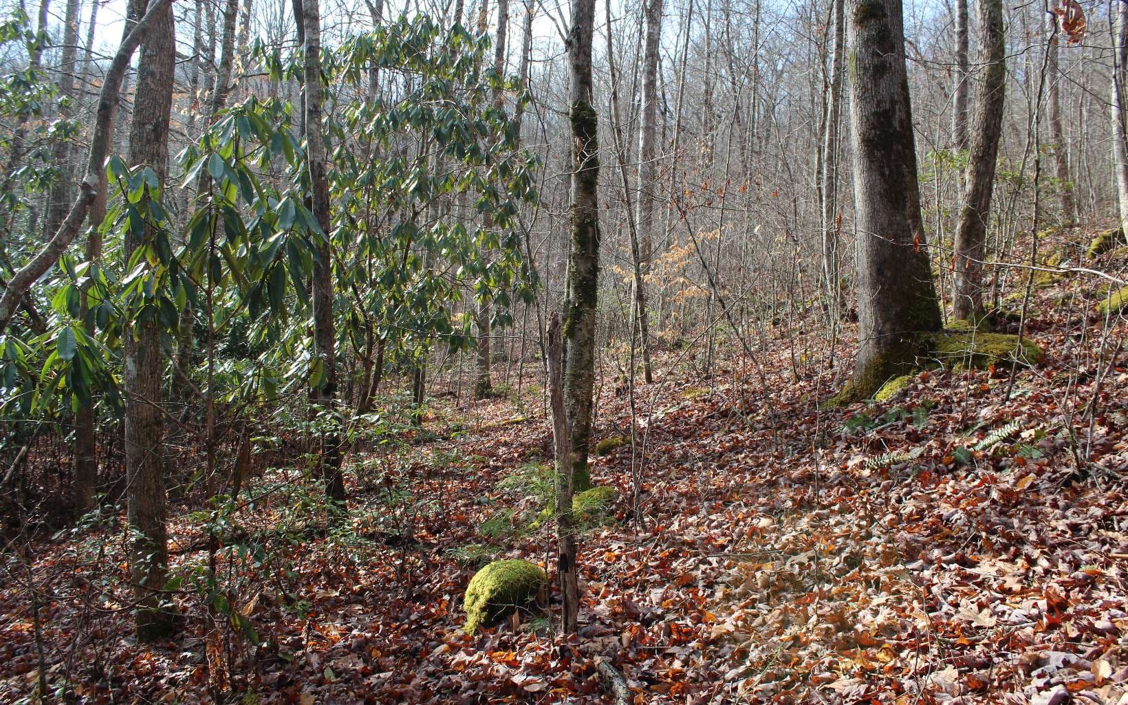 7 Fodder Creek Mill Road, Hiawassee GA 30546 - Photo