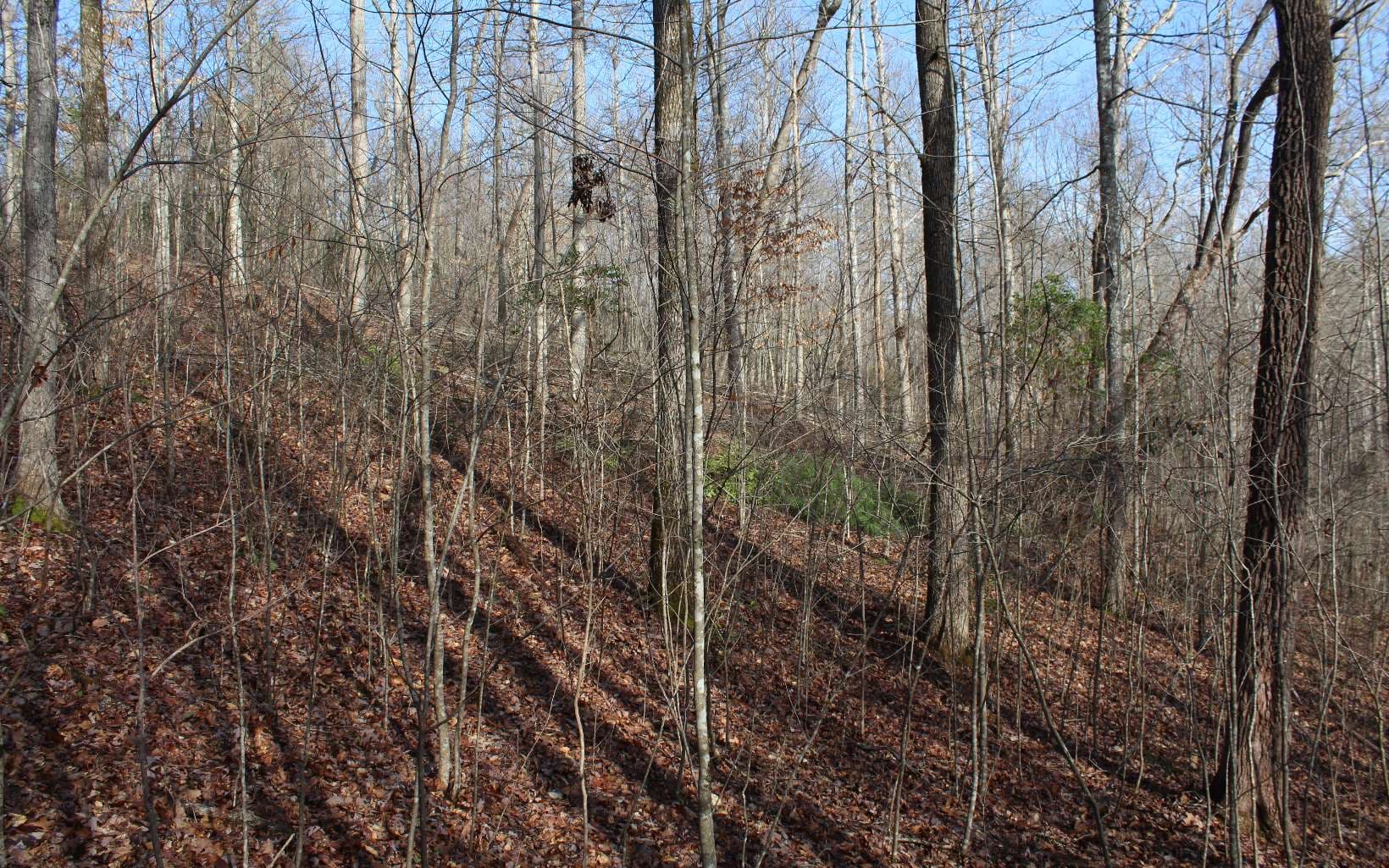 7 Fodder Creek Mill Road, Hiawassee GA 30546 - Photo