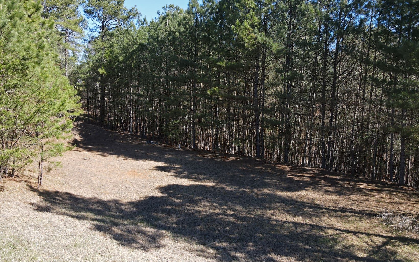 LT 38 Sanctuary Drive, Blairsville GA 30512 - Photo