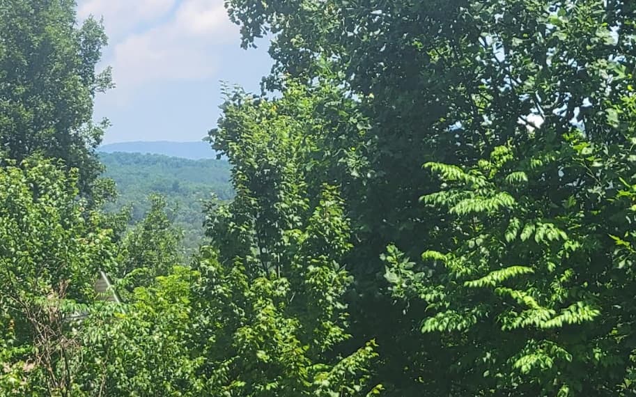 24 Mountain Knoll Lane, Warne NC 28909 - Photo