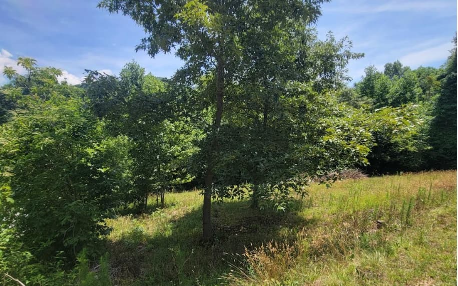 24 Mountain Knoll Lane, Warne NC 28909 - Photo