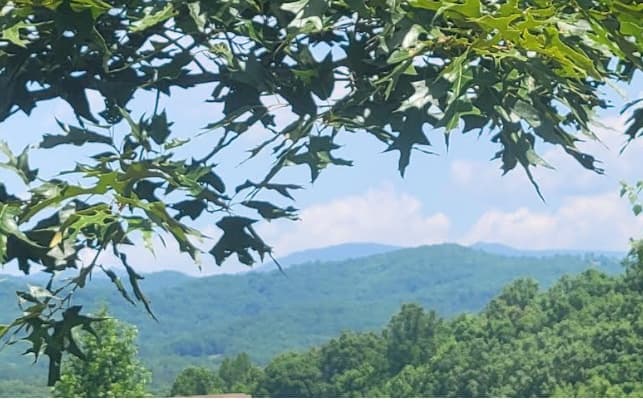 24 Mountain Knoll Lane, Warne NC 28909 - Photo