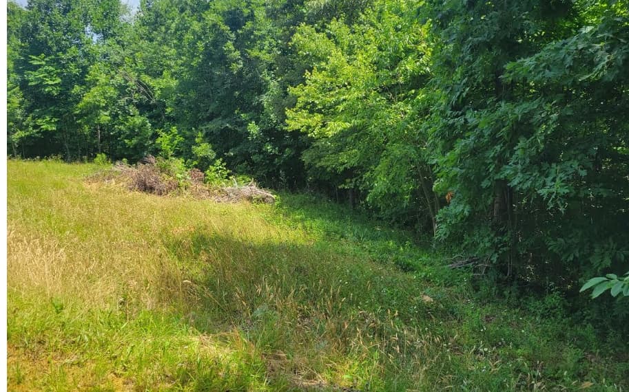 24 Mountain Knoll Lane, Warne NC 28909 - Photo