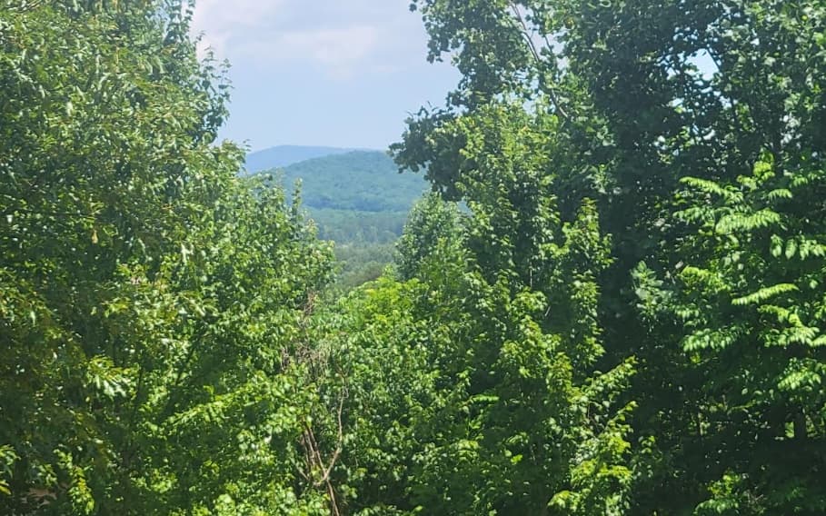24 Mountain Knoll Lane, Warne NC 28909 - Primary photo