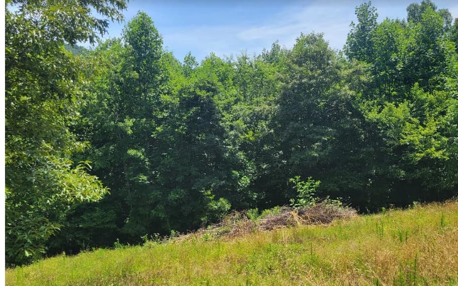 24 Mountain Knoll Lane, Warne NC 28909 - Photo