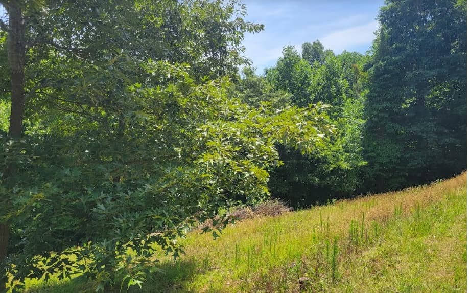 24 Mountain Knoll Lane, Warne NC 28909 - Photo