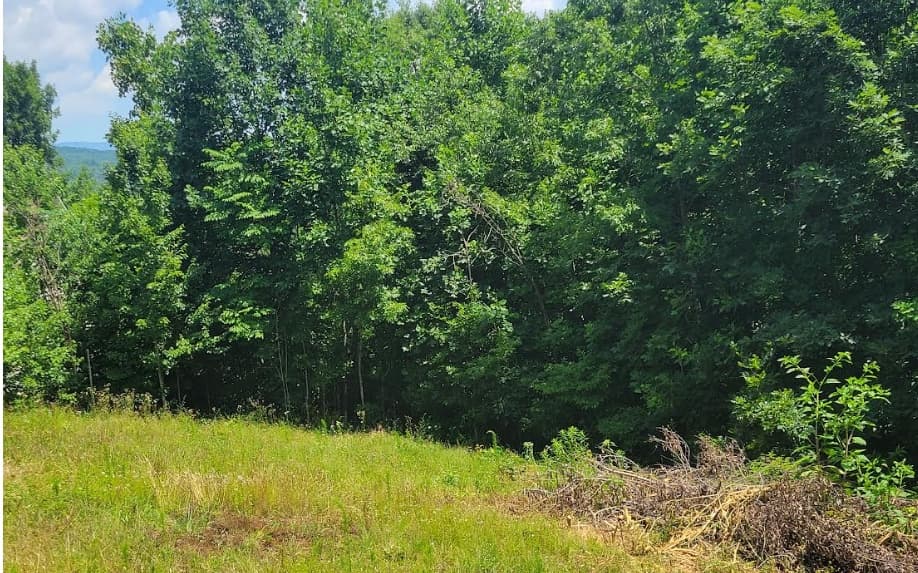 24 Mountain Knoll Lane, Warne NC 28909 - Photo