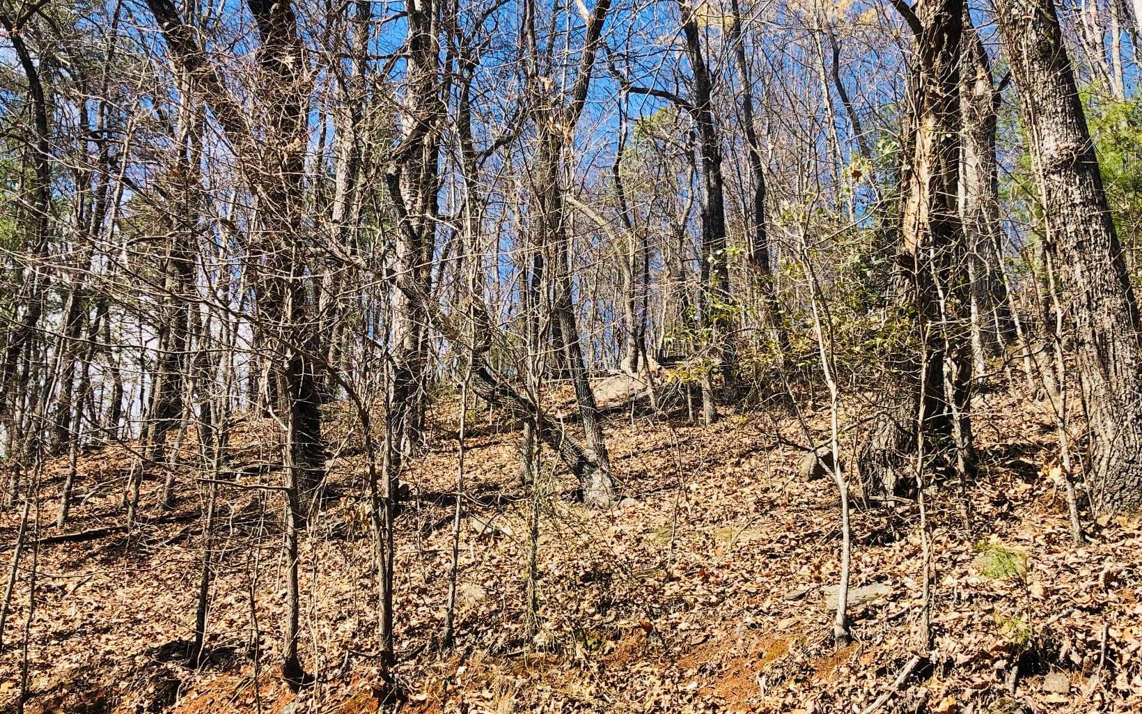 LT113 Laurel Lane, Clayton GA 30525 - Photo