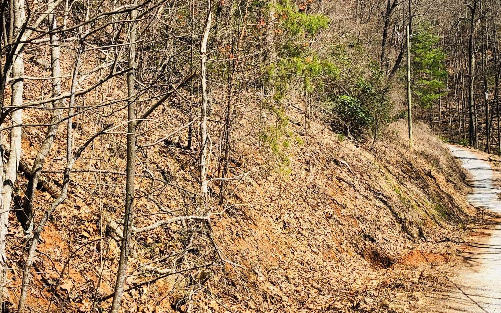 LT113 Laurel Lane, Clayton GA 30525 - Photo