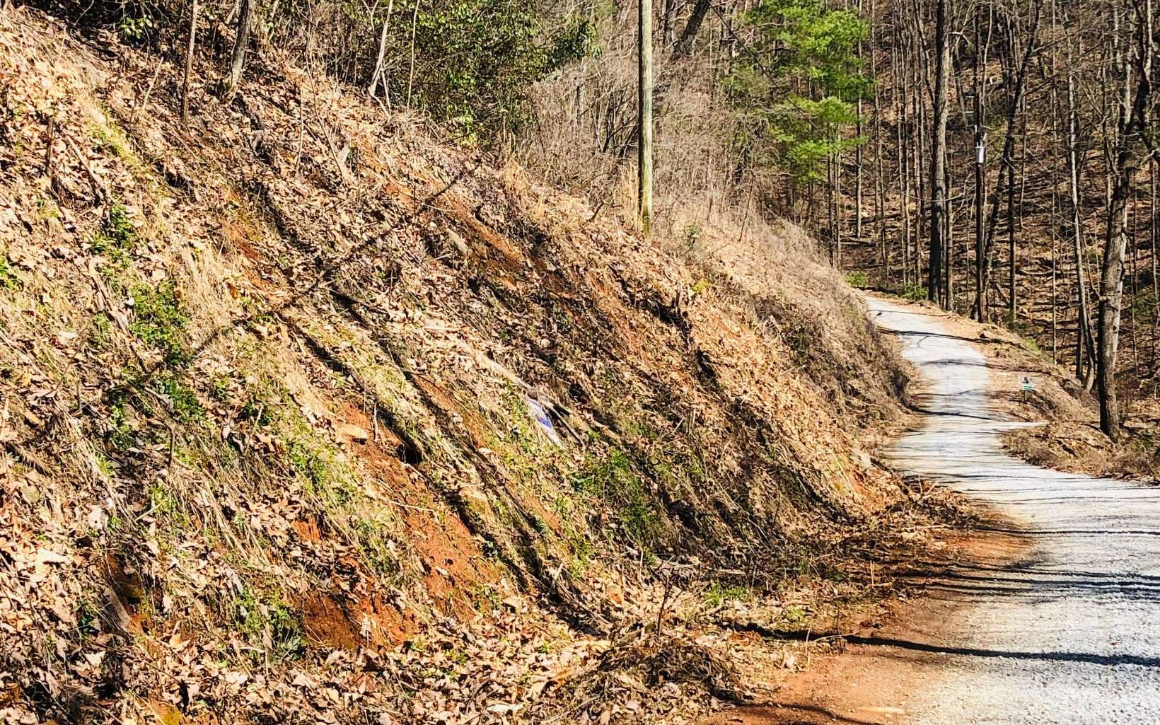 LT113 Laurel Lane, Clayton GA 30525 - Photo