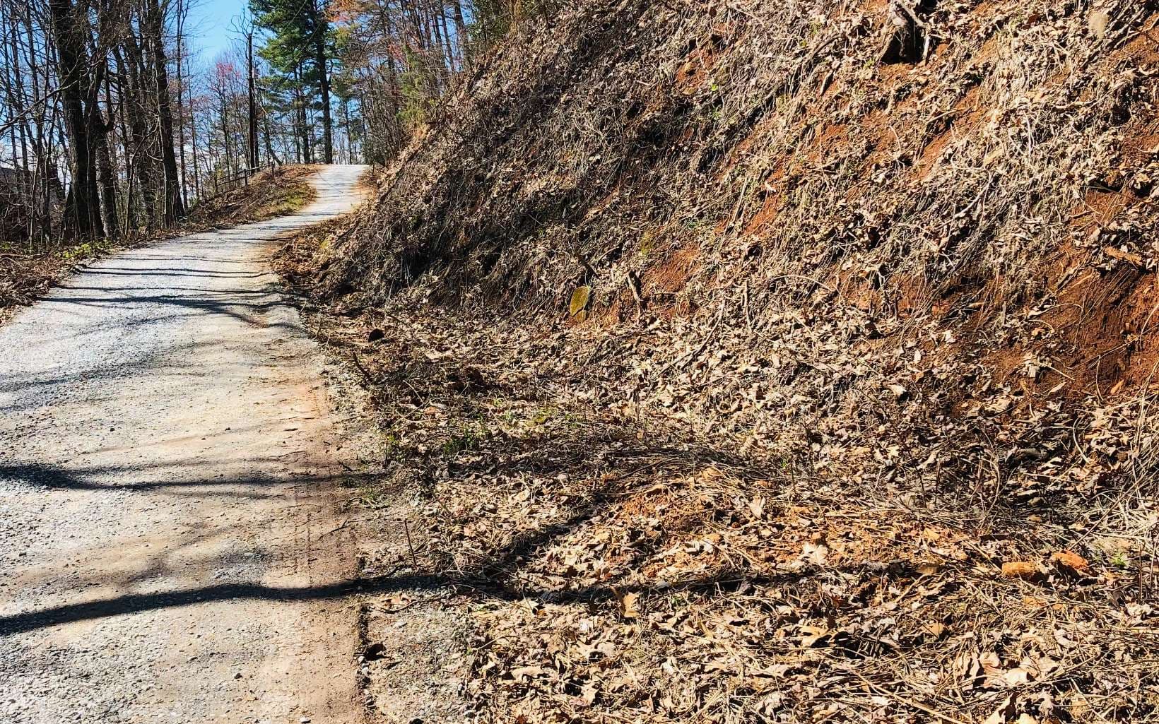 LT113 Laurel Lane, Clayton GA 30525 - Photo