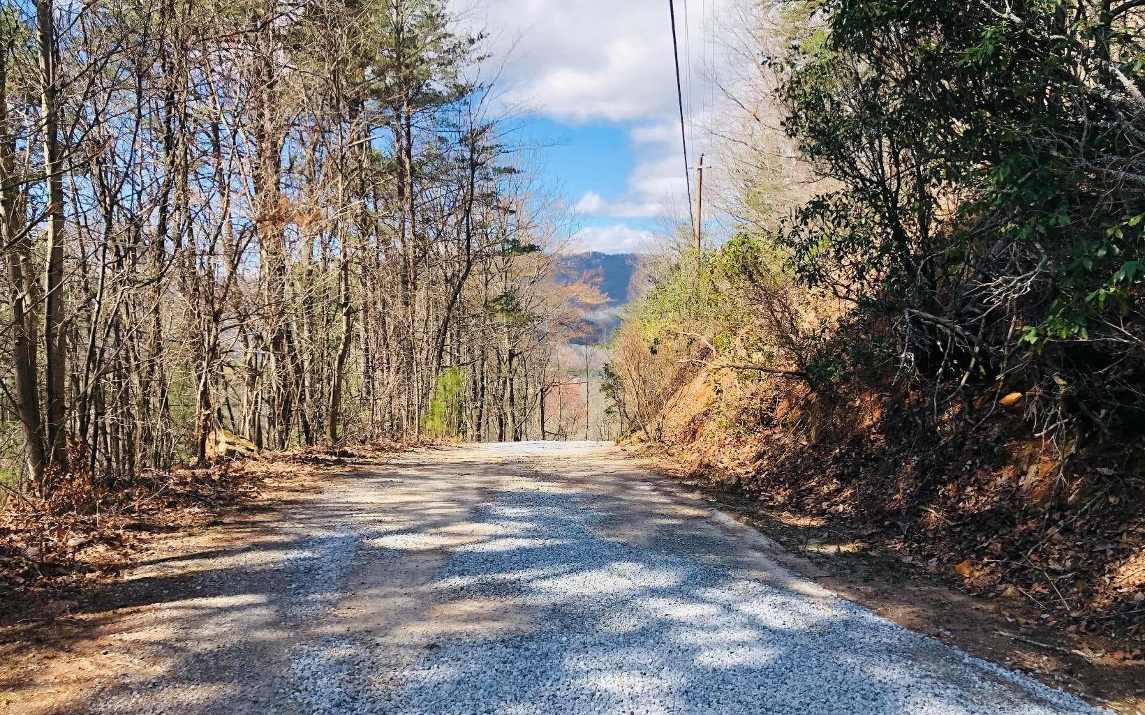 LT113 Laurel Lane, Clayton GA 30525 - Photo
