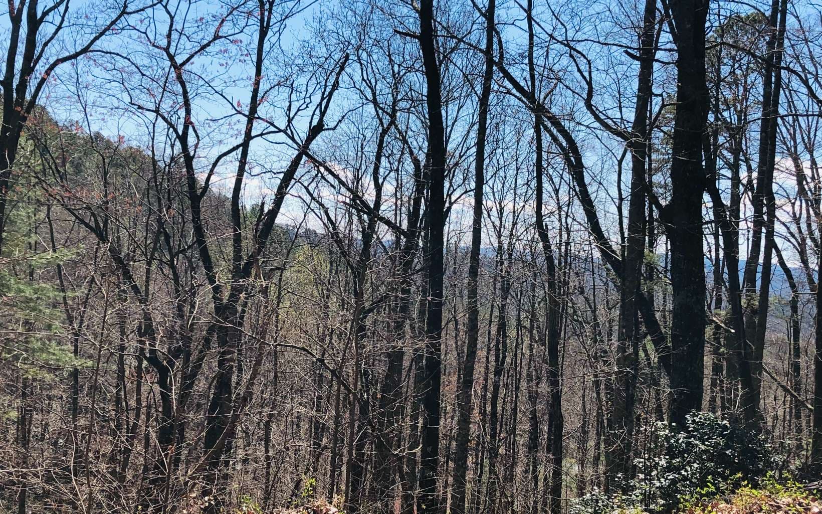 LT113 Laurel Lane, Clayton GA 30525 - Photo