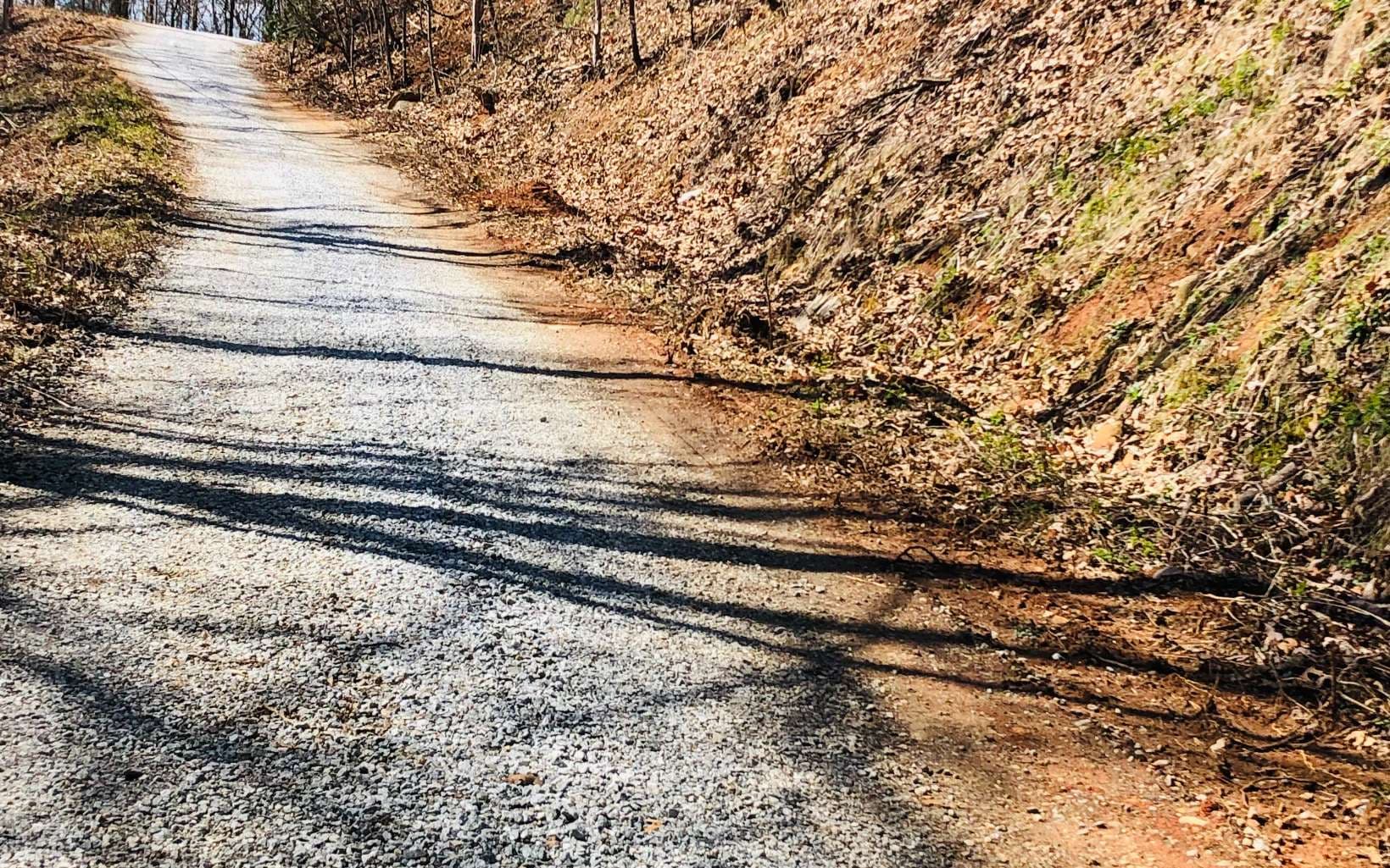 LT113 Laurel Lane, Clayton GA 30525 - Photo