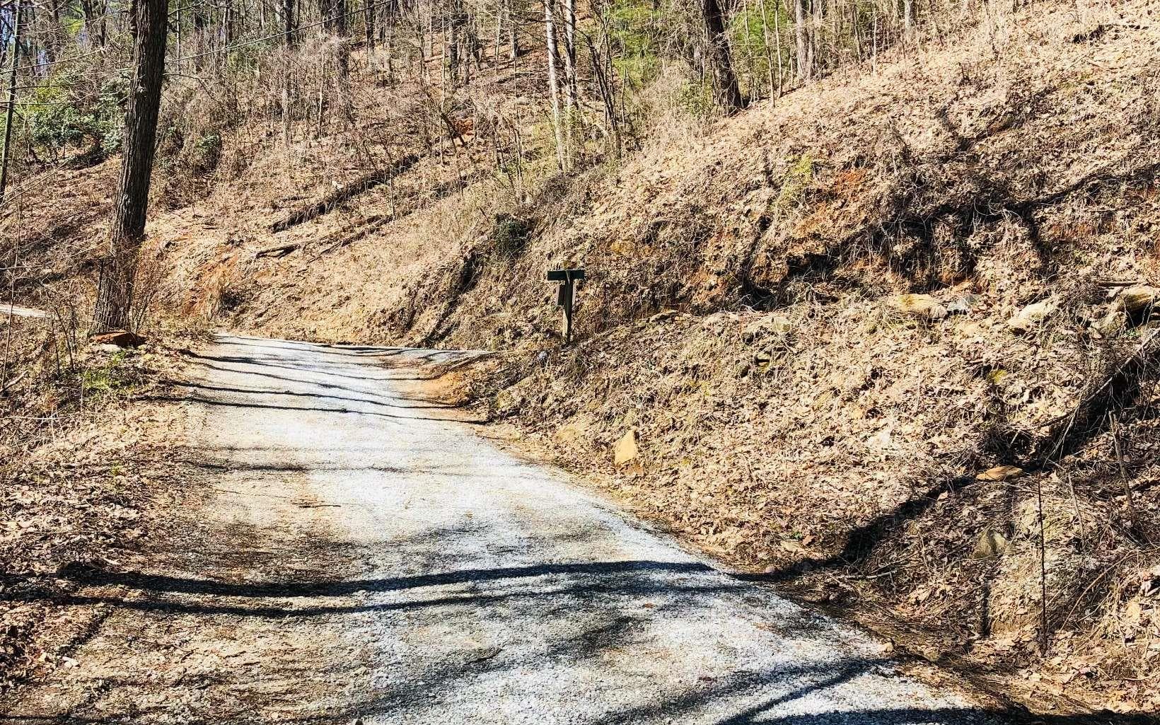 LT113 Laurel Lane, Clayton GA 30525 - Photo