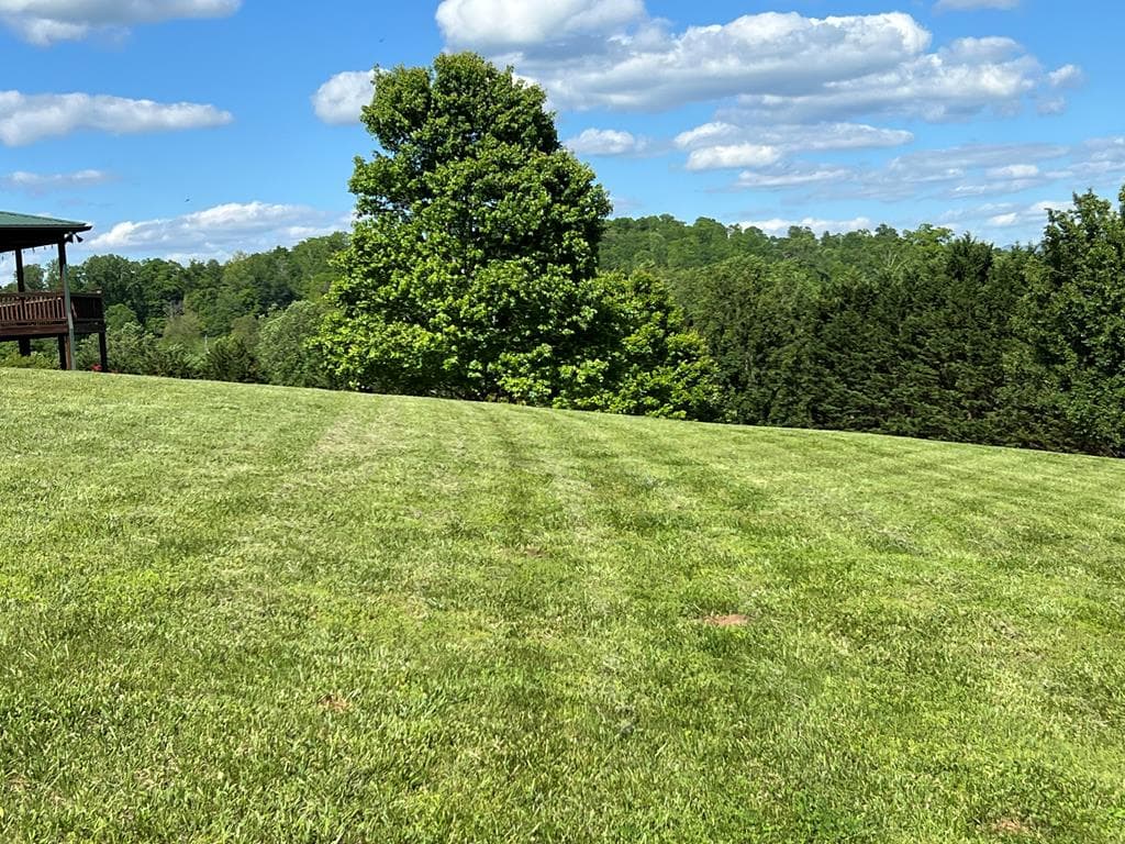 Lot 8 Cabin Drive, Hayesville NC 28904 - Photo