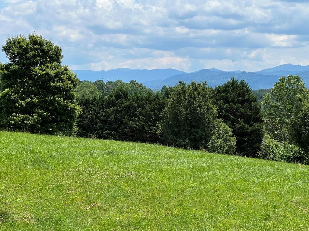 Lot 8 Cabin Drive, Hayesville NC 28904 - Photo