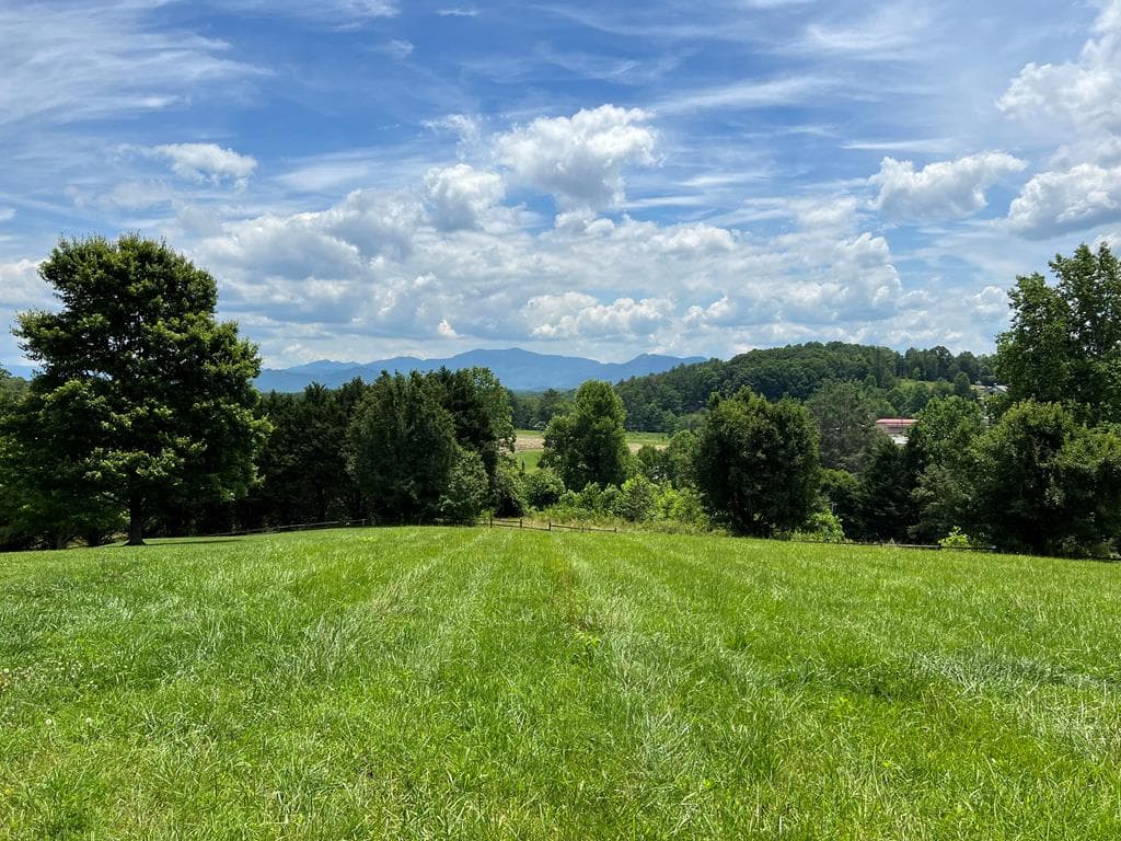 Lot 8 Cabin Drive, Hayesville NC 28904 - Photo