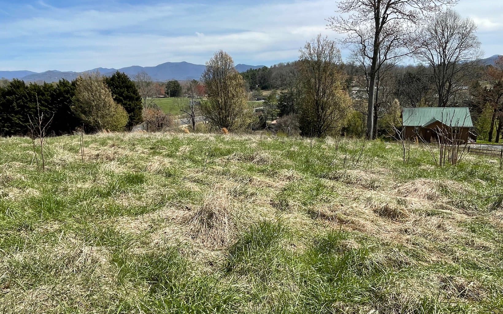 Lot 8 Cabin Drive, Hayesville NC 28904 - Photo