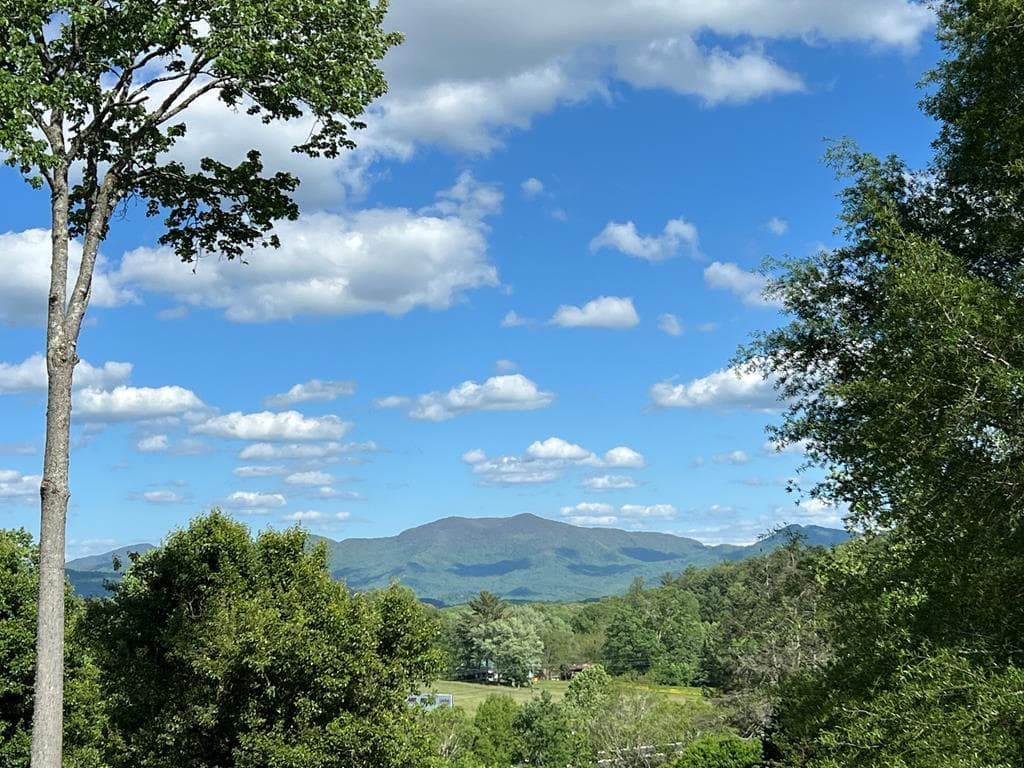 Lot 8 Cabin Drive, Hayesville NC 28904 - Primary photo