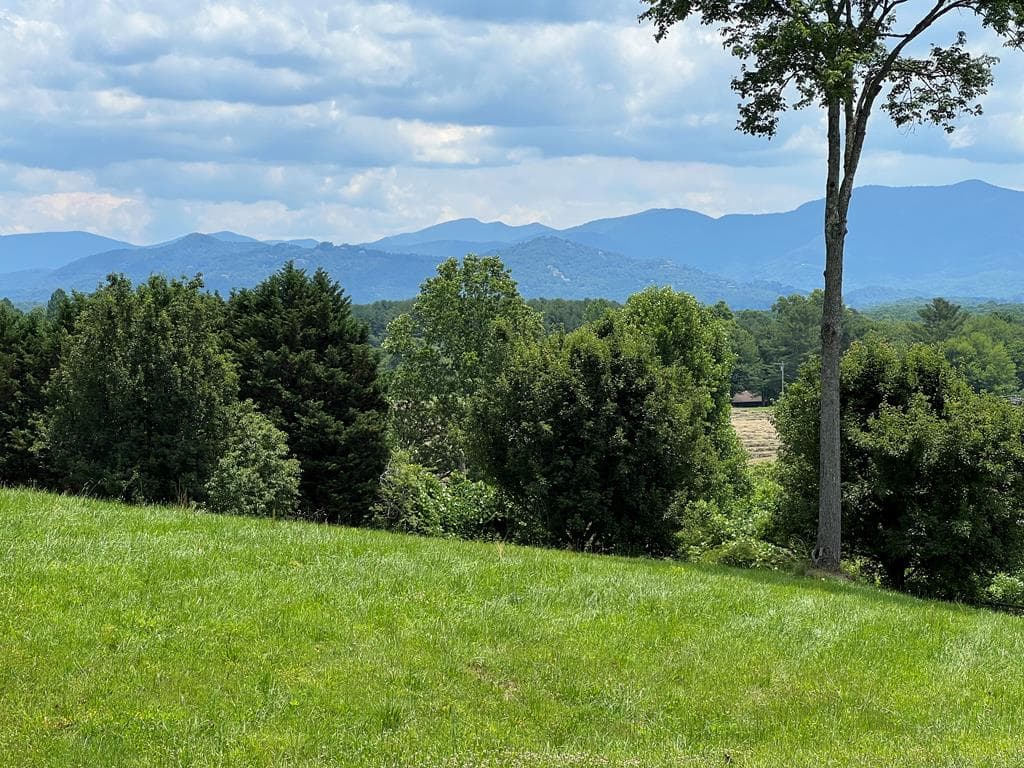 Lot 8 Cabin Drive, Hayesville NC 28904 - Photo
