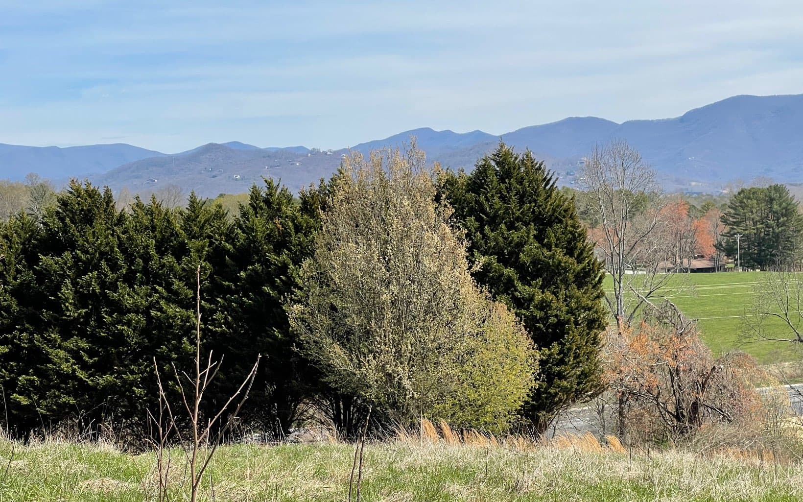 Lot 8 Cabin Drive, Hayesville NC 28904 - Photo