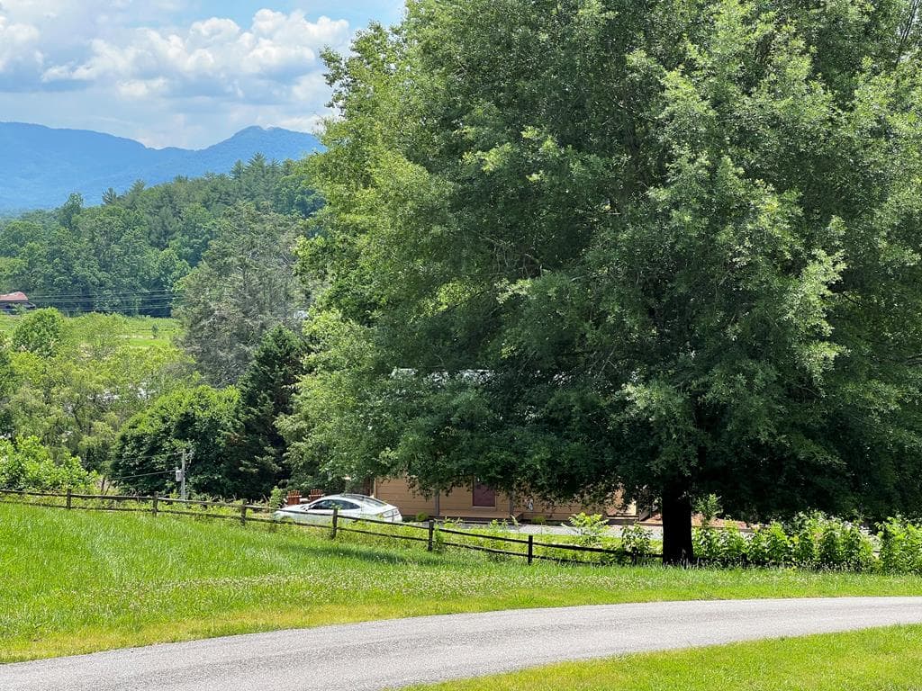 Lot 8 Cabin Drive, Hayesville NC 28904 - Photo