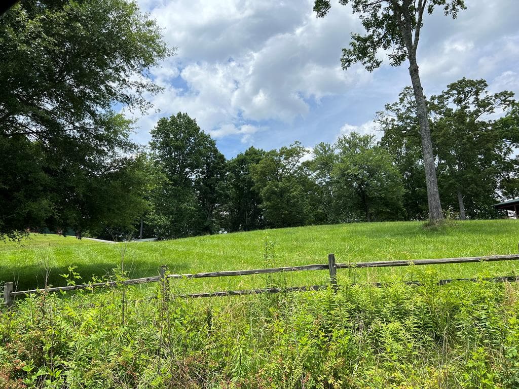Lot 8 Cabin Drive, Hayesville NC 28904 - Photo