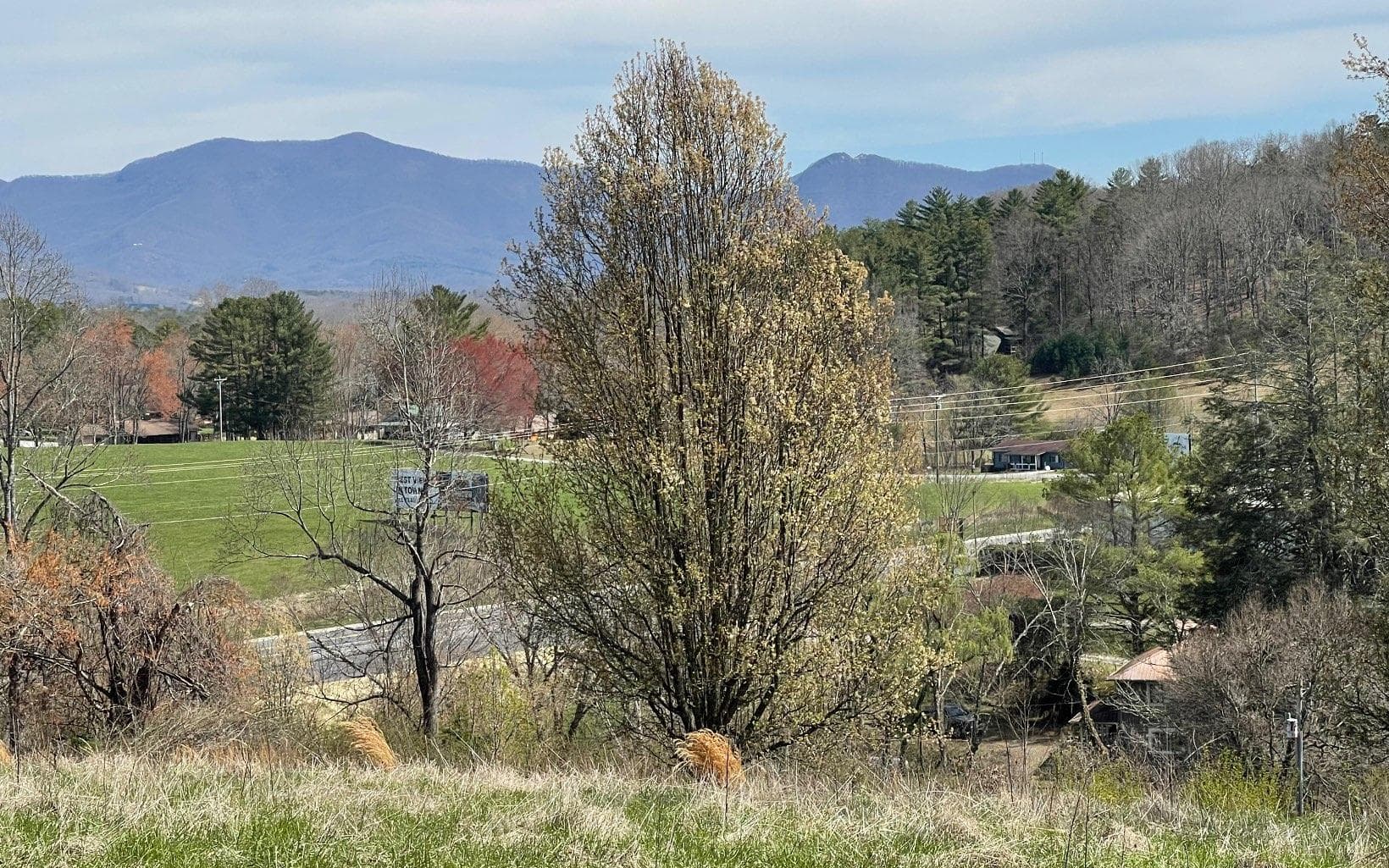 Lot 8 Cabin Drive, Hayesville NC 28904 - Photo