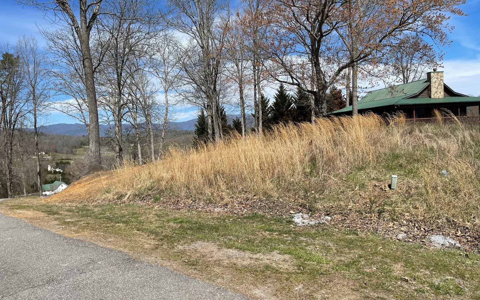 Lot 8 Cabin Drive, Hayesville NC 28904 - Photo